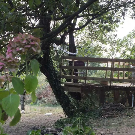 Tiny Dans La Verdure Et Au Calme * Vesseaux